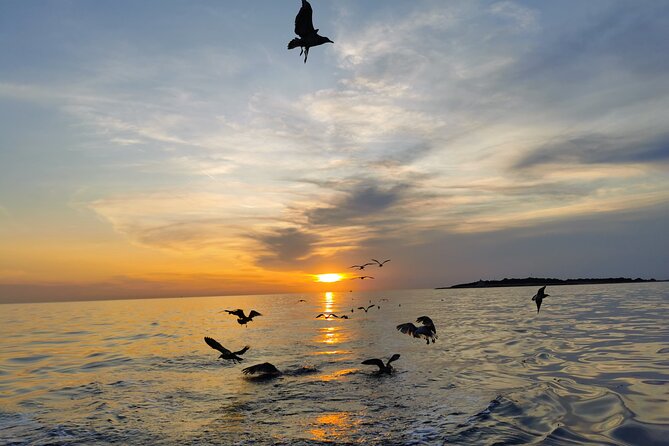 Dolphin Watching Sunset Boat Trip in Pula with Dinner - Service, Atmosphere, and the Small-Boat Difference