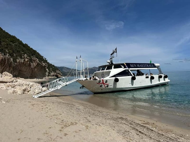 Dorgali: Cala Luna Boat Trip - Price and value: is $40 fair for Cala Gonone to Cala Luna?
