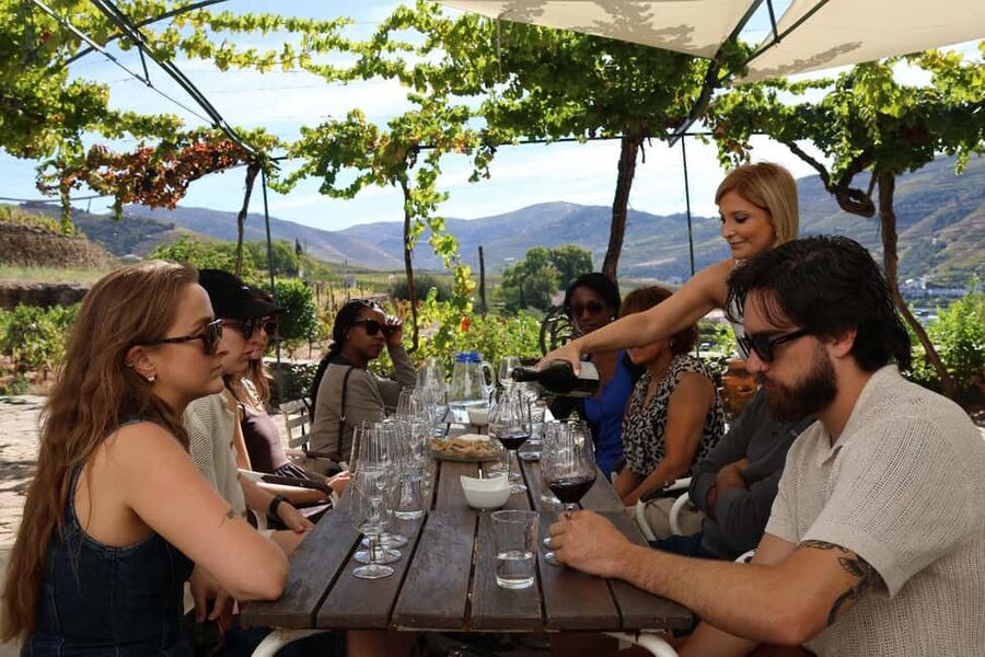 Douro Valley: Half-Day, with 1 winery & 1-h boat tour - Key moments that make this Douro trip work