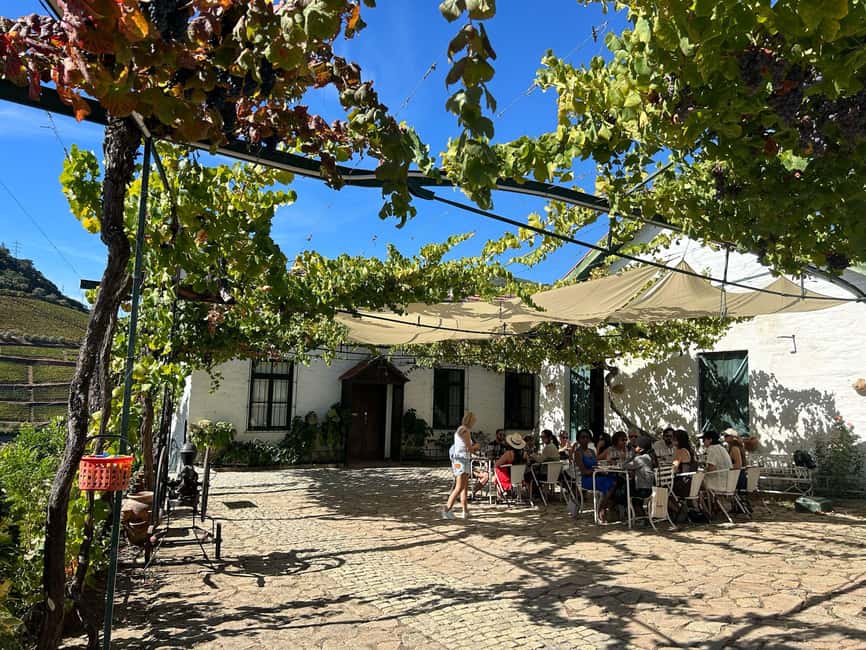 Douro Valley: Half-Day, with 1 winery & 1-h boat tour - Value for $80: what you really get for your money