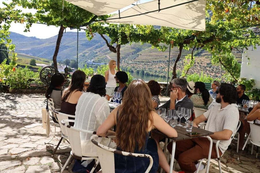 Douro Valley: Half-Day, with 1 winery & 1-h boat tour - Should you book this Douro Valley half-day?