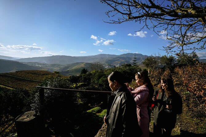 DOURO VALLEY: Lunch in a winery, tastings & 1-h private boat tour - Lunch in a winery-style setting: more than a meal stop