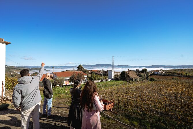 DOURO VALLEY: Lunch in a winery, tastings & 1-h private boat tour - Guide quality: why people keep naming João, Rui, Andre, and others