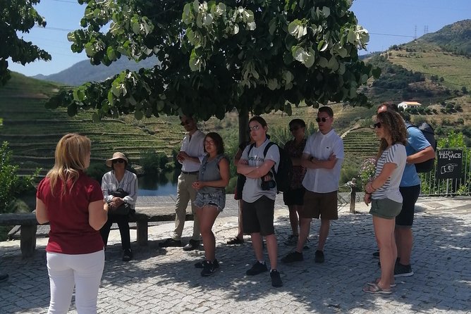 DOURO VALLEY: Lunch in a winery, tastings & 1-h private boat tour - Price and value: what $139.08 buys you (and what to watch for)