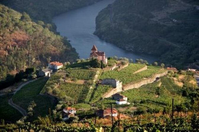 Douro Valley Private Day Trip including Boat Ride & Wine Tasting - What This Private Douro Day Does Better Than a Group Tour