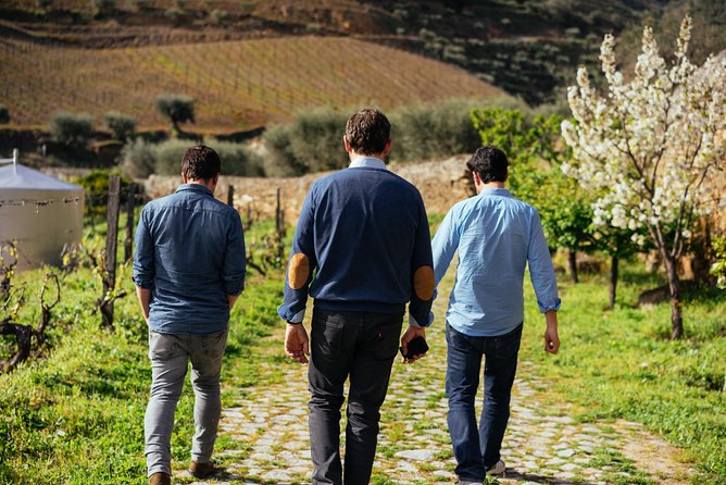Douro Valley Private Day Trip including Boat Ride & Wine Tasting - Price and Logistics: What $325 Per Person Buys You