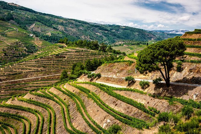 Douro Valley Private Day Trip including Boat Ride & Wine Tasting - Douro Valley Time and Lunch: Where the Day Can Shine or Miss
