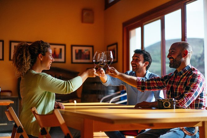 Douro Valley Private Day Trip including Boat Ride & Wine Tasting - Who This Tour Fits Best (and Who Might Want Something Else)