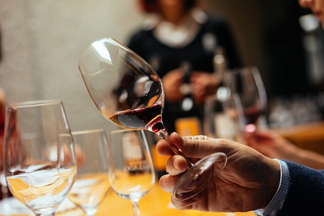 Douro Valley Private Day Trip including Boat Ride & Wine Tasting - Pinhão Pass-By: Quick River Town Stops on the Drive