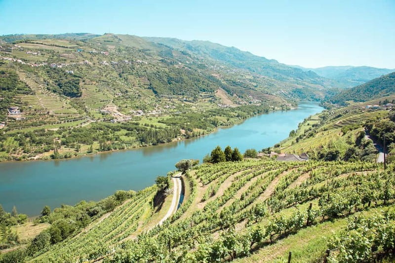 Douro Valley: Tour with Wine Tastings, Lunch, and Boat Ride - Pinhão boat cruise: the Douro views you can’t rush