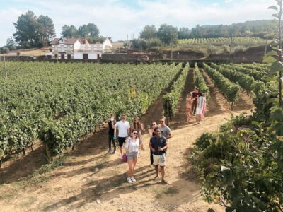 Douro Valley: Tour with Wine Tastings, Lunch, and Boat Ride - First winery stop: Port wine history, winemaking process, and cheese pairing