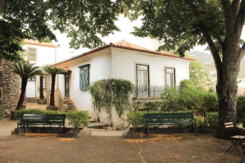 Douro Valley: Tour with Wine Tastings, Lunch, and Boat Ride - Lunch at a Portuguese restaurant: meat, fish, or vegetarian menus
