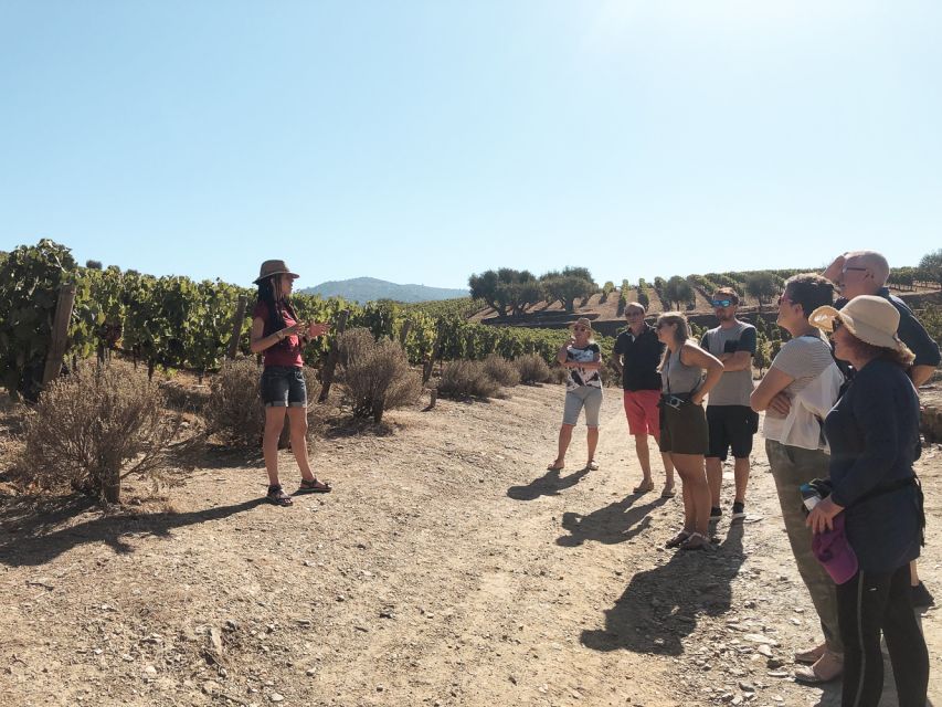 Douro Valley: Tour with Wine Tastings, Lunch, and Boat Ride - Price and value: is $169 a good deal for a Douro wine day?