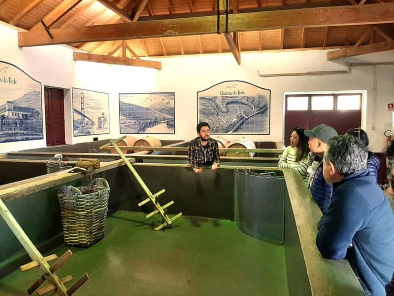 Douro Valley: Winery, Traditional Lunch & Private Boat Trip - Why the Douro Valley feels like a real wine region