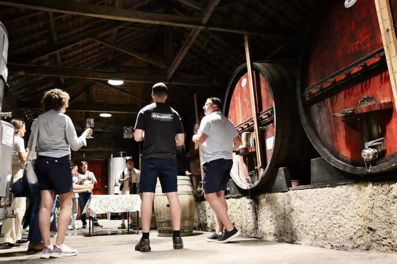 Douro Valley: Winery, Traditional Lunch & Private Boat Trip - Second winery and last viewpoint stop