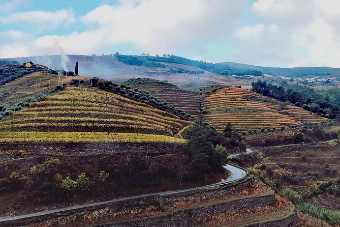 Douro Valley with Two Winery, Boat Trip and Lunch From Porto - Key highlights worth clocking