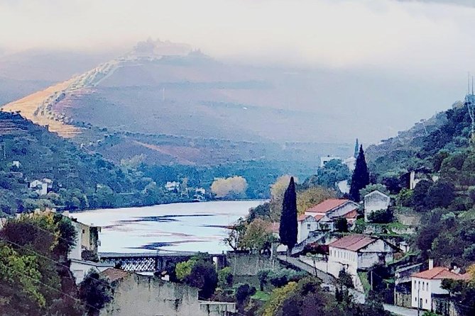 Douro Valley with Two Winery, Boat Trip and Lunch From Porto - Tabuaco lunch: big Portuguese plates, family style, and options for food needs