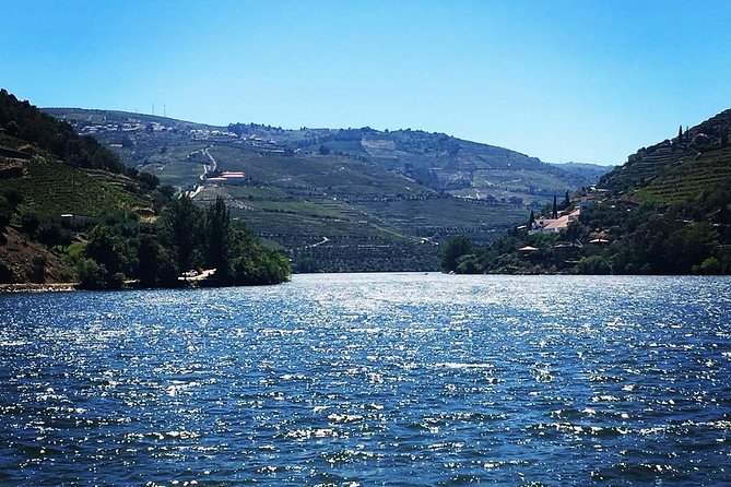 Douro Valley with Two Winery, Boat Trip and Lunch From Porto - Pinhão river cruise: why this stretch is the highlight