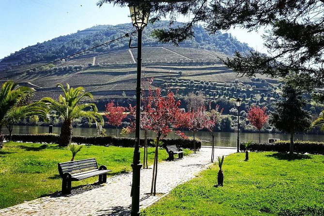 Douro Valley with Two Winery, Boat Trip and Lunch From Porto - Casal de Loivos and the ride back: scenic time without rushing