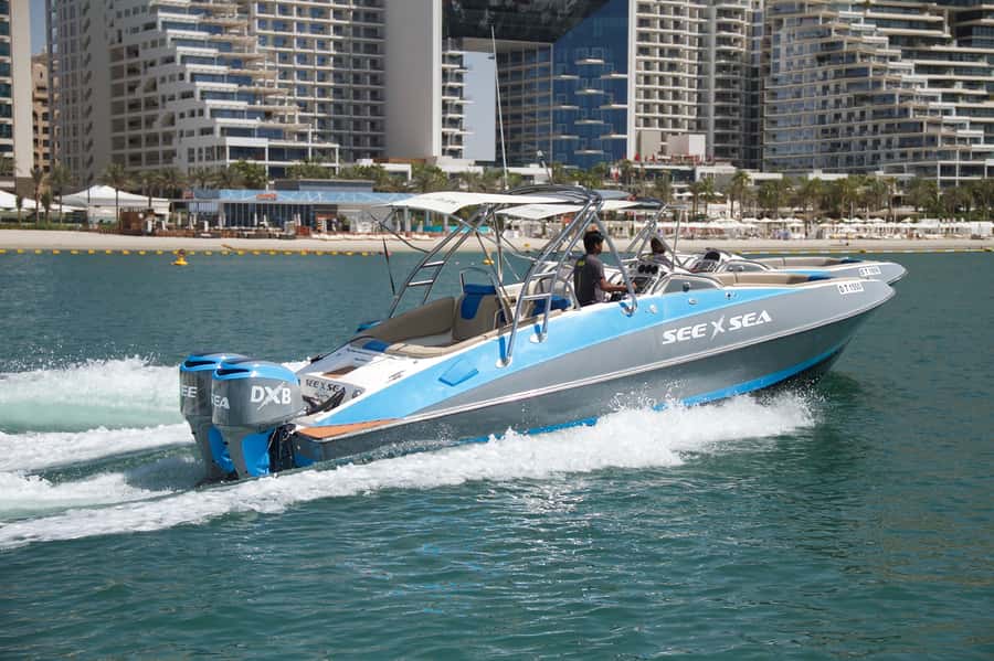 Dubai: Marina Private Boat Tour & Palm Jumeirah Sightseeing - What You’ll See Up Close: Ain Dubai, Atlantis, and the Skyline