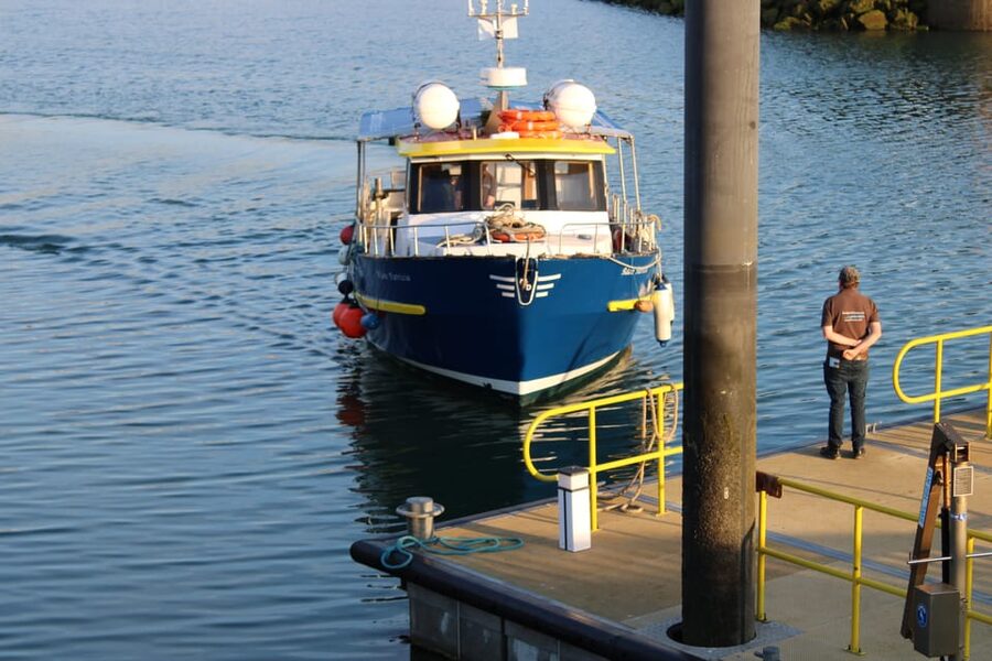 Dublin: Howth Cliffs and Lighthouse Boat Tour - Howth’s West Pier: getting started without fuss