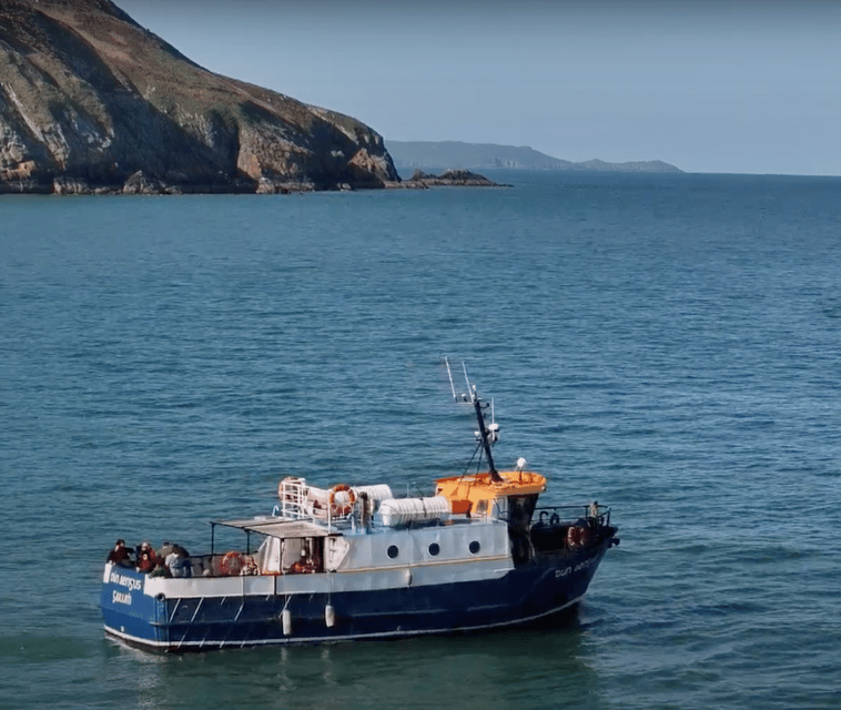 Dublin: Howth Cliffs and Lighthouse Boat Tour - Cruise views of Dublin Bay Biosphere: wildlife spotting that feels real