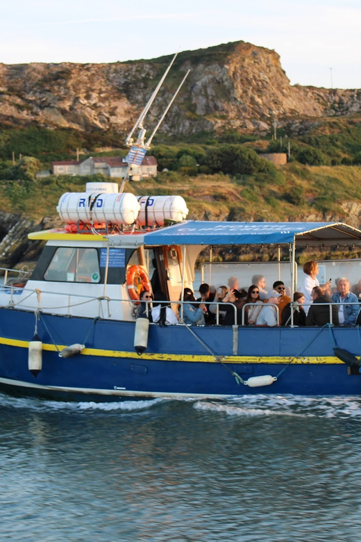 Dublin: Howth Coast and Ireland's Eye Boat Tour - Where you’ll start: Howth Harbour and the easy setup