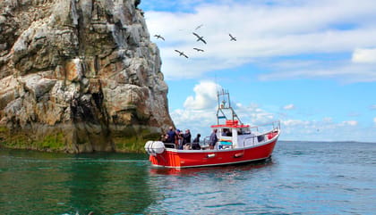 Dublin: Howth Coastal Boat Tour - Key highlights that make this tour worth your time