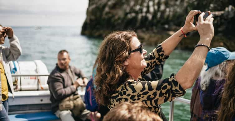 Dublin: Howth Coastal Boat Tour - Howth to Ireland’s Eye: the 9 W Pier departure that keeps things easy