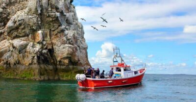 Dublin: Howth Coastal Boat Tour - What you see on the boat: cliffs, caves, and the UNESCO Dublin Bay Biosphere