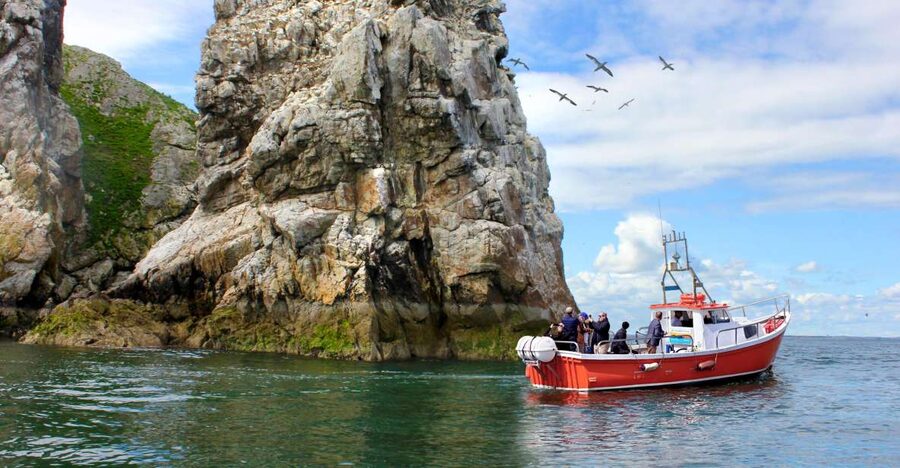 Dublin: Howth Coastal Boat Tour - The itinerary in plain terms: what happens after you board