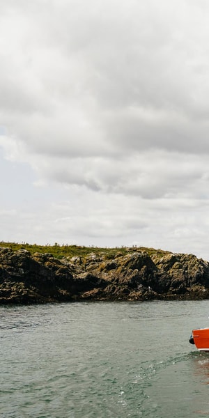 Dublin: Howth Coastal Boat Tour - Price and value: why $28 feels fair for a short, focused wildlife cruise