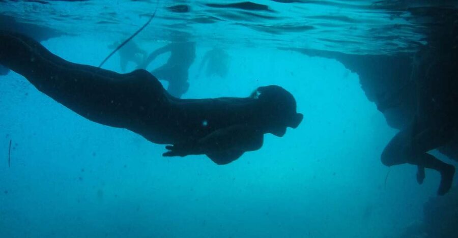 Dubrovnik: Blue Cave & Sunj Beach Boat Tour with Drinks - Key things I’d plan around