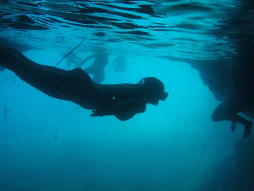 Dubrovnik: Blue Cave & Sunj Beach Boat Tour with Drinks - Why Koločep’s Cave Swims Feel Like a Different World