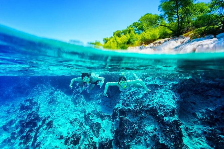 Dubrovnik: Blue Cave & Sunj Beach Boat Tour with Drinks - When to Go: Morning vs Afternoon for the Blue Cave Mood