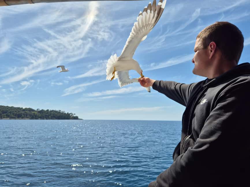 Dubrovnik: Island Boat Tour with Drinks & Lunch - Getting to the boat: Dubrovnik’s Green Market start