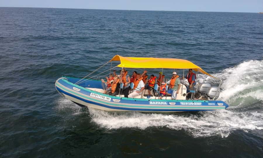 Durban: Durban: Whale and Dolphin Watching Boat Tour - The boat size and the guide make a real difference