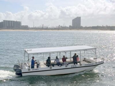 Durban: Durban: Whale and Dolphin Watching Boat Tour - How humpbacks and dolphins show up during the cruise
