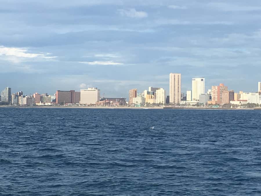 Durban: Durban: Whale and Dolphin Watching Boat Tour - What to bring for comfort and better viewing