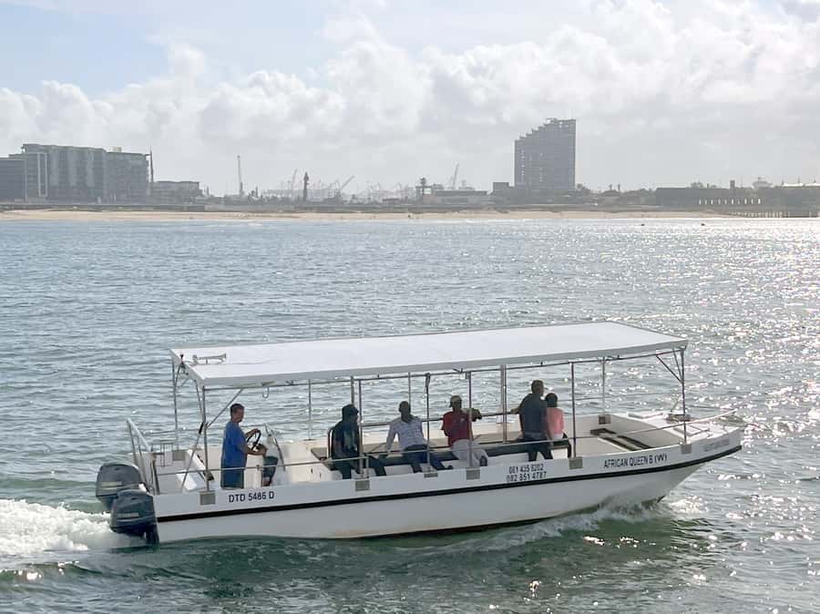 Durban: Durban: Whale and Dolphin Watching Boat Tour - How humpbacks and dolphins show up during the cruise