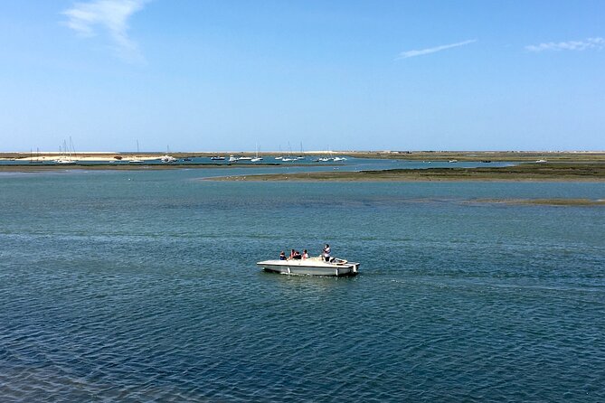 Eco Boat Tour in the Ria Formosa Lagoon from Faro - Tides decide the show: high water vs low water