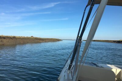 Eco Boat Tour in the Ria Formosa Lagoon from Faro - The 1-hour ride: what happens once you’re on board