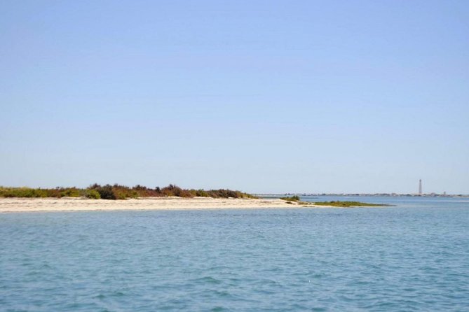 Eco Boat Tour in the Ria Formosa Lagoon from Faro - Wildlife viewing without the “loud engine” effect