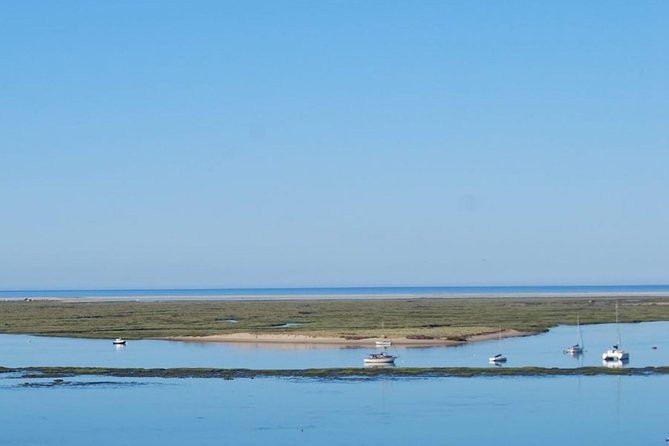 Eco Boat Tour in the Ria Formosa Lagoon from Faro - Guide energy: funny, friendly, and multilingual