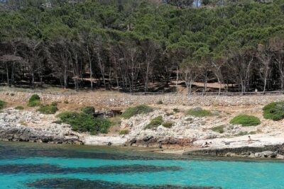 Egadi Islands Boat Tour: Favignana and Levanzo with Lunch - Favignana Coves: Red Cliffs, Soft Stops, Real Swim Time
