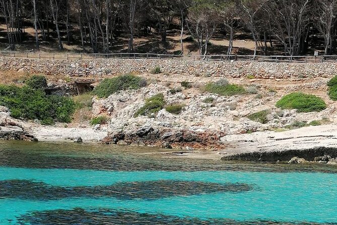 Egadi Islands Boat Tour: Favignana and Levanzo with Lunch - Boat Crew Energy: You’re in Small-Group Hands