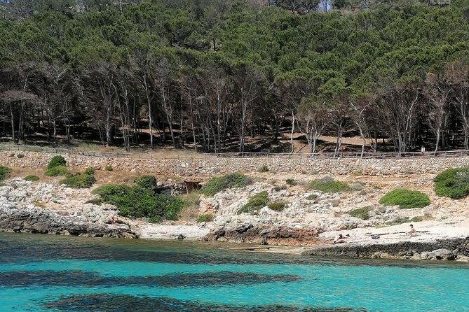 Egadi Islands Boat Tour: Favignana and Levanzo with Lunch - Favignana Coves: Red Cliffs, Soft Stops, Real Swim Time