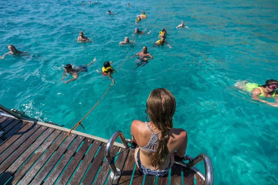 El Arenal, Mallorca: Bay of Palma Boat Tour with Snorkeling - The main event: swimming and snorkeling in clear nature reserve water