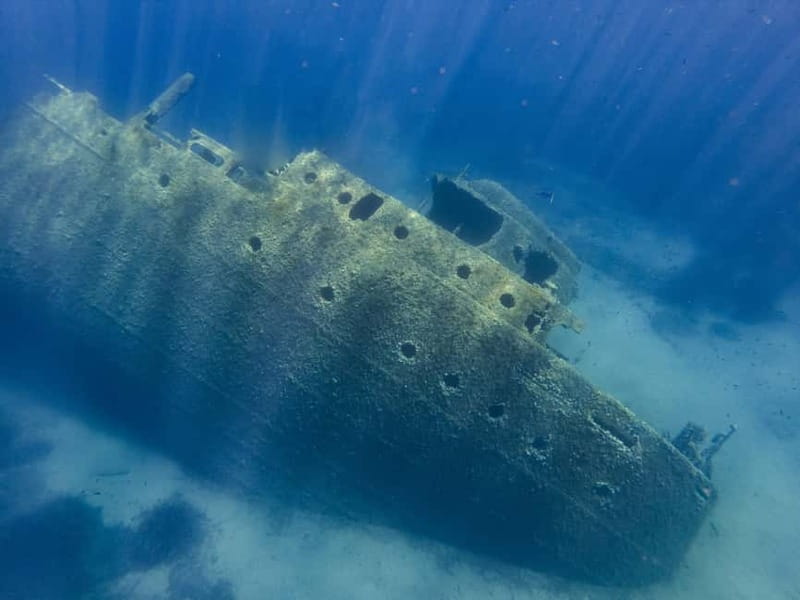Elba Island: a boat trip to the Elviscot wreck - Why This Trip Hits the Sweet Spot