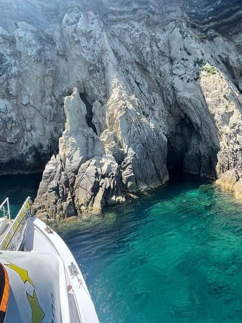 Elba Island: a boat trip to the Elviscot wreck - One Practical Catch Before You Go